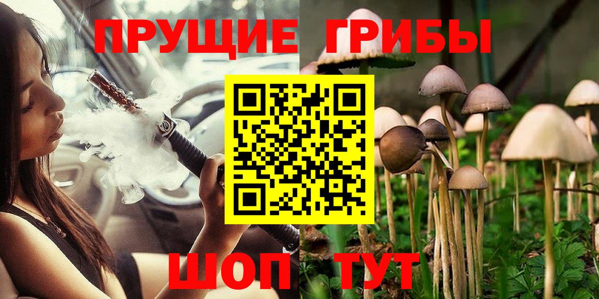 Галлюциногенные грибы прущие грибы  Вход с VPN  Курганинск 